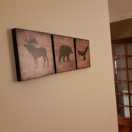 Maía My Home In Oporto מראה חיצוני תמונה
